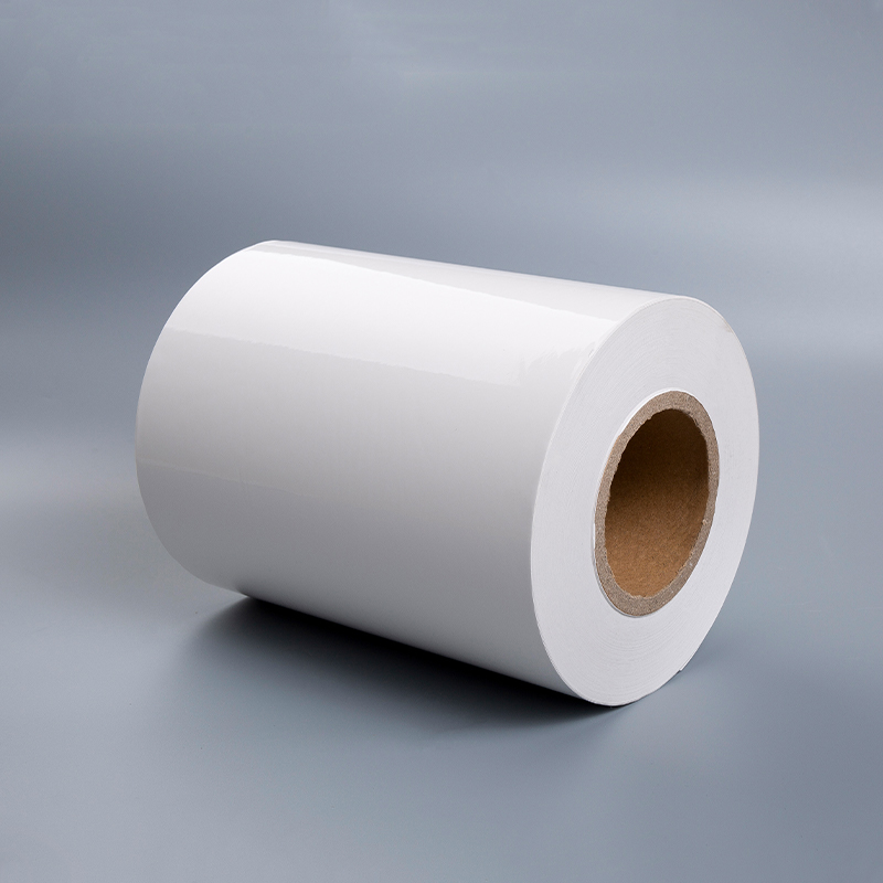 Cast Coated Paper With White Release Liner