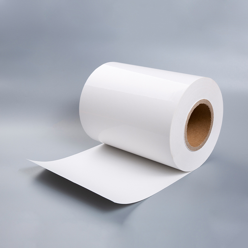 Cast Coated Paper With White Release Liner