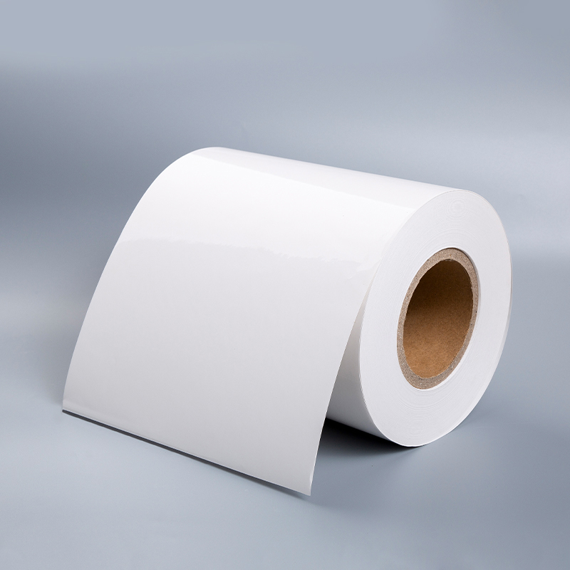 Cast Coated Paper With White Release Liner