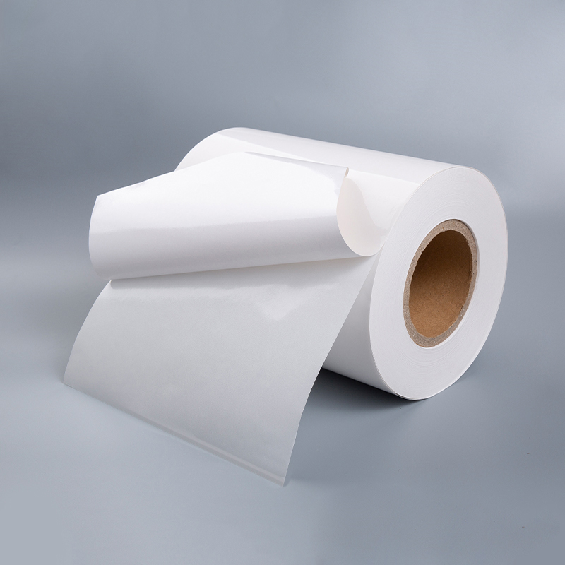 Cast Coated Paper With White Release Liner