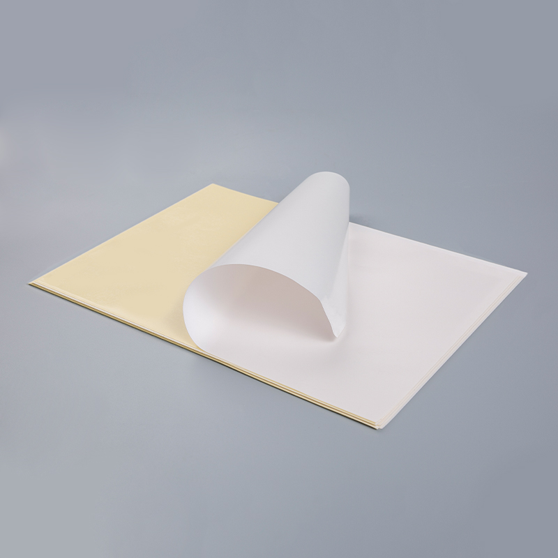 Cast Coated Paper With Yellow Release Liner